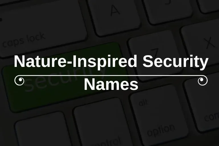 Classic and Timeless Cloths Brand Names (5).webp