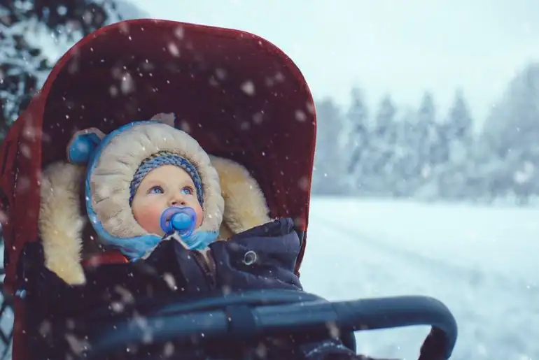 Untitled design..webp