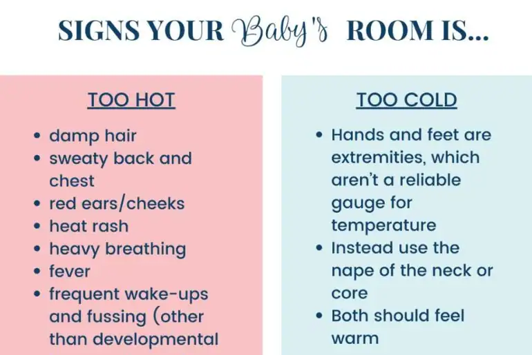 Untitled design.webp